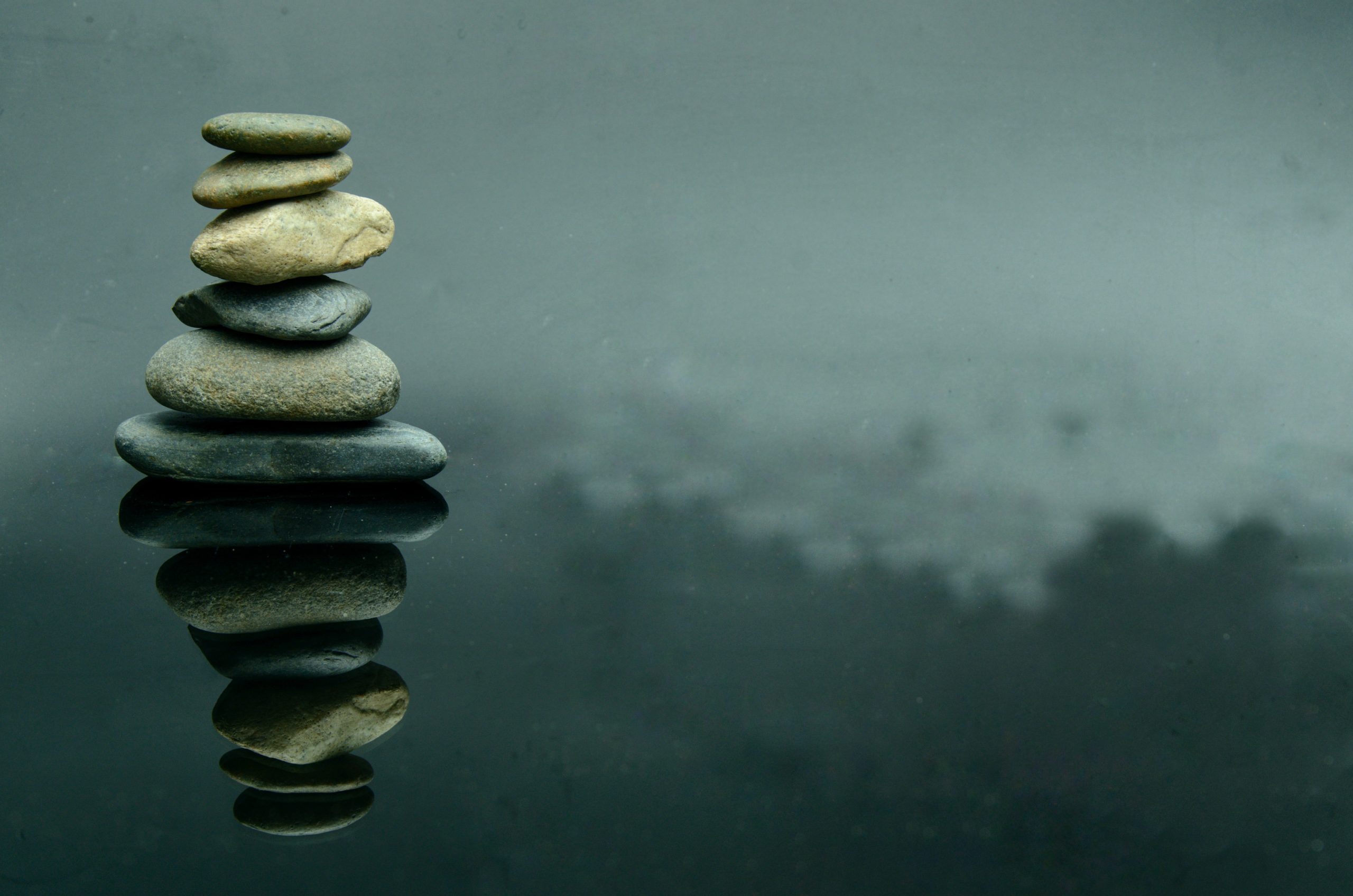 Ayurveda: The Science of Life
