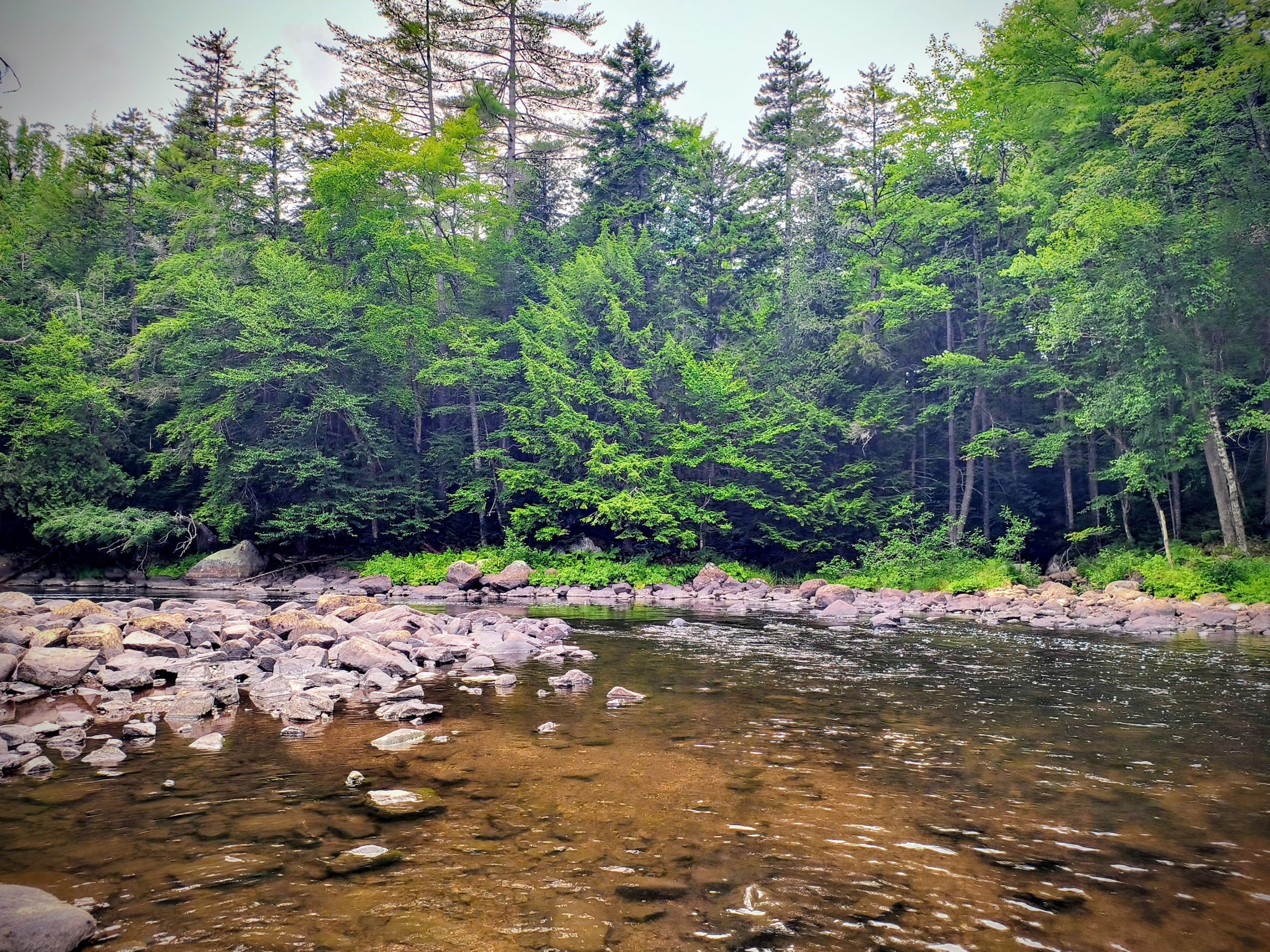 Navigating the Heat: Summer Rituals & Routines to Balance Pitta Season