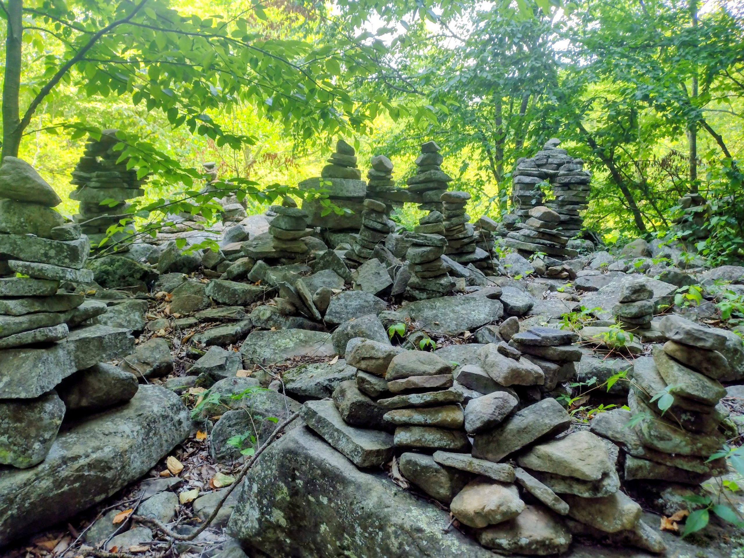 Cleansing with the Cycles: Ayurvedic Wisdom for Seasonal Renewal